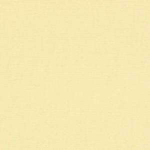 1000 Antares 2071 cream