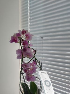 Moottoroidut sälekaihtimet