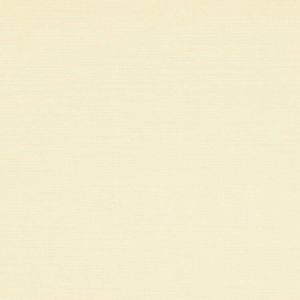 1000 Antares 2103 beige