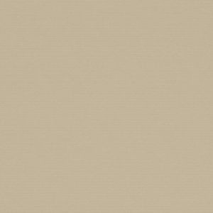 1000 Antares 2349 dark-beige