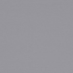 1000 Antares 9060 mouse-grey