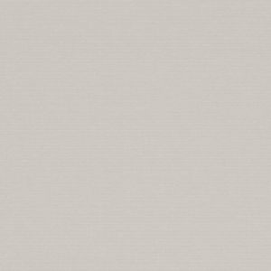 1000 Antares 9030 grey