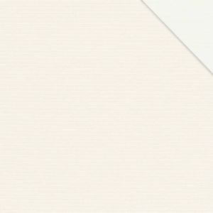 1001 AntaresBO 1000 white