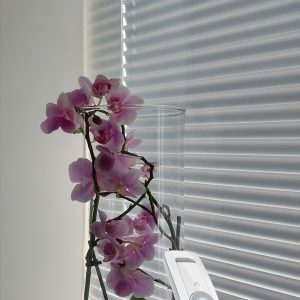 Moottoroidut sälekaihtimet