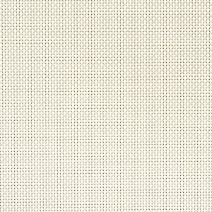 3N002 white bone